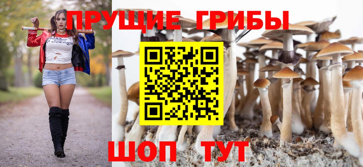 Псилоцибиновые грибы прущие грибы Дагестанские Огни