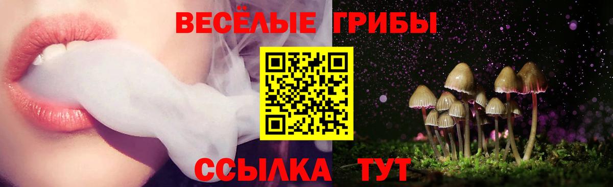 Дагестанские Огни  как найти   Вход с VPN  Галлюциногенные грибы MAGIC MUSHROOMS 
